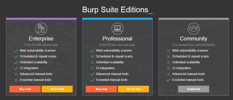 burp suite free edition active scan disabled