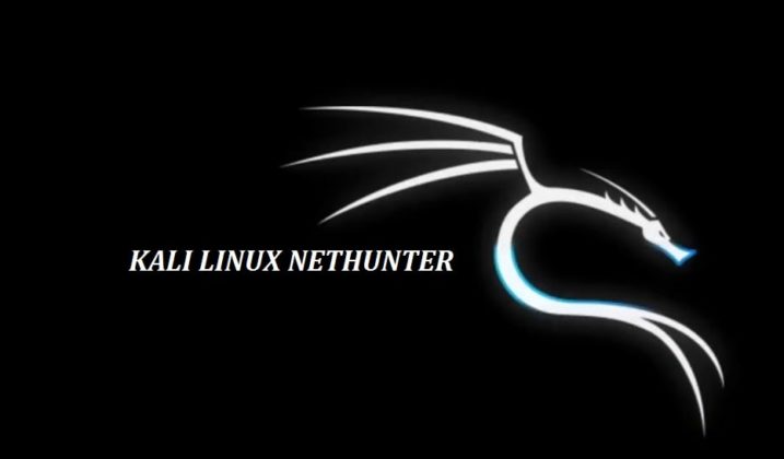 nexus 7 running kali linux nethunter