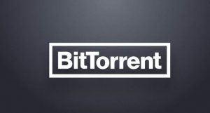 torrent not adding to bittorrent web